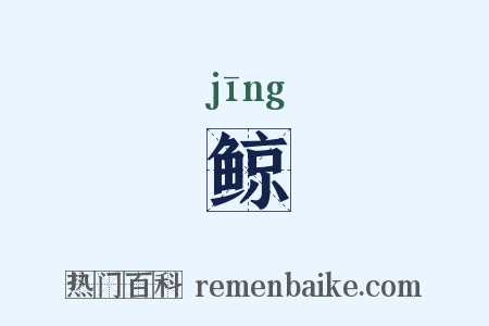 鲸是什么意思的图片